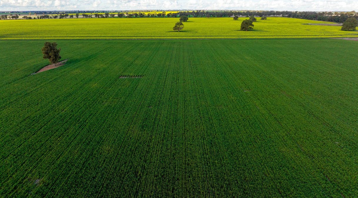 2358 Strontian Road, Narrandera, NSW, 2700 - Image 2