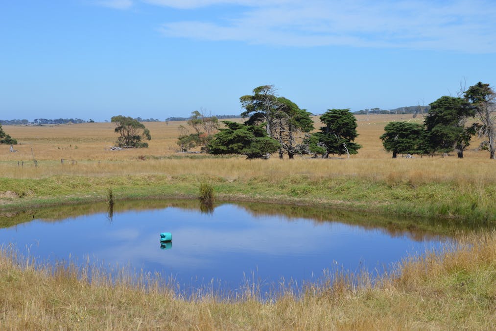 220 Outtrim-Inverloch Road, Outtrim, VIC, 3951 - Image 6
