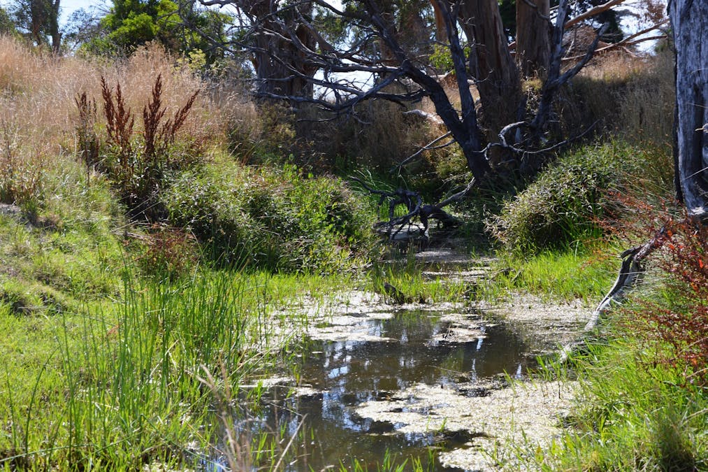 220 Outtrim-Inverloch Road, Outtrim, VIC, 3951 - Image 7
