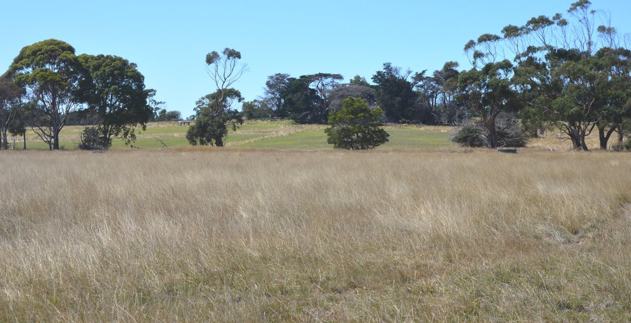 220 Outtrim-Inverloch Road, Outtrim, VIC, 3951 - Image 8