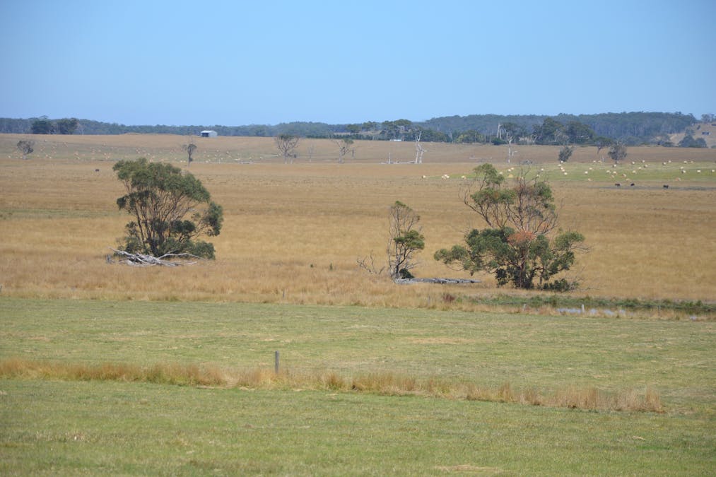 220 Outtrim-Inverloch Road, Outtrim, VIC, 3951 - Image 10