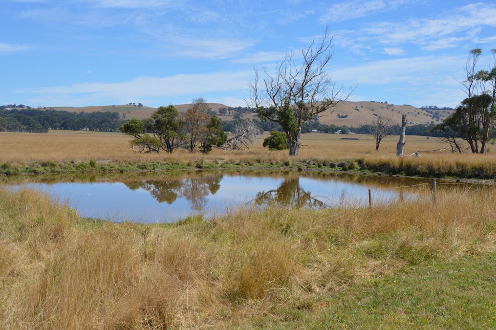 220 Outtrim-Inverloch Road, Outtrim, VIC, 3951 - Image 3