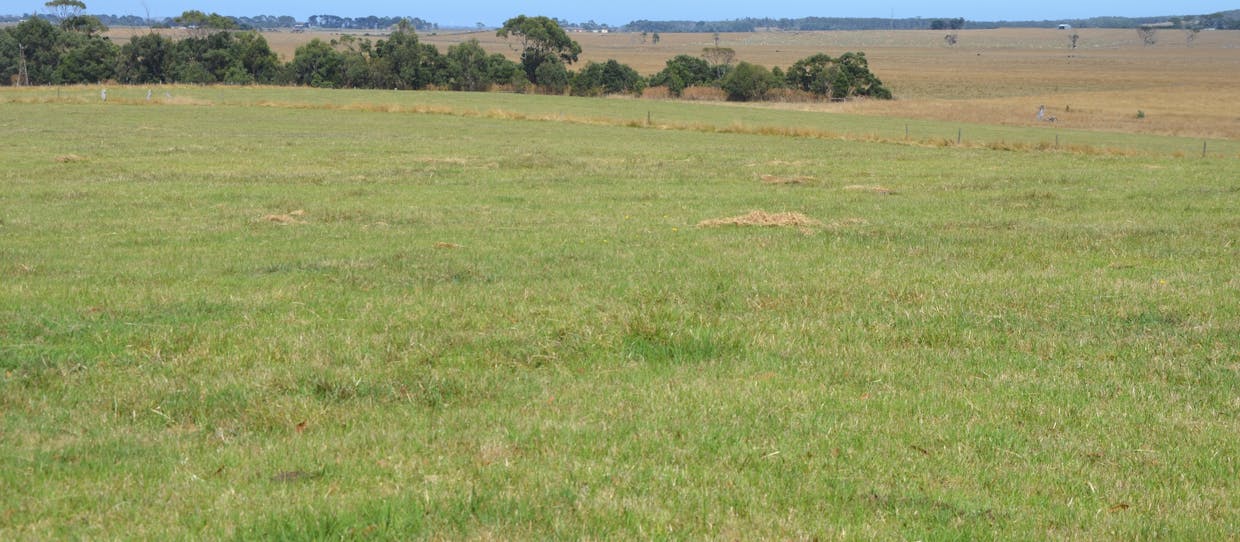 220 Outtrim-Inverloch Road, Outtrim, VIC, 3951 - Image 4
