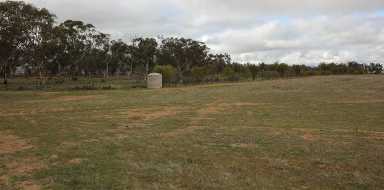 Lot 6273 Great Eastern Highway, Kellerberrin, WA, 6410 - Image 14