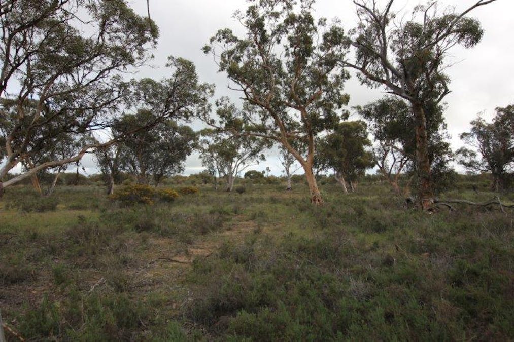 Lot 6273 Great Eastern Highway, Kellerberrin, WA, 6410 - Image 3