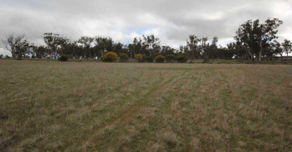Lot 6273 Great Eastern Highway, Kellerberrin, WA, 6410 - Image 4