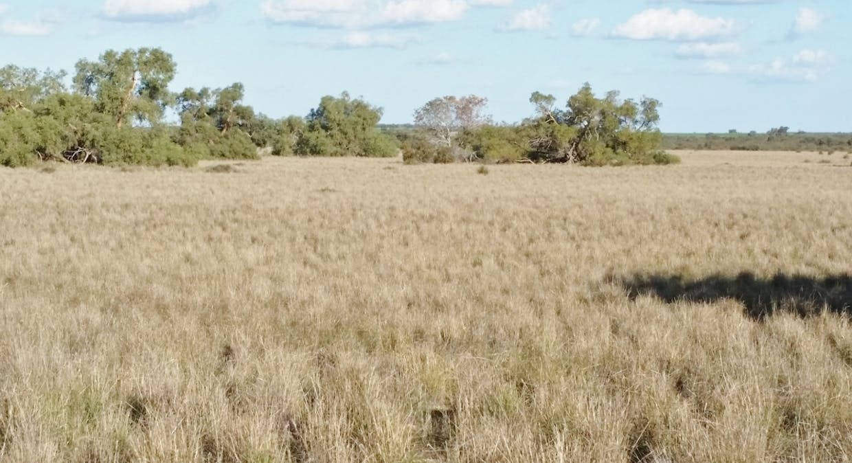 Lot 3 & 4 Winchester South Road, Carnamah, WA, 6517 - Image 8