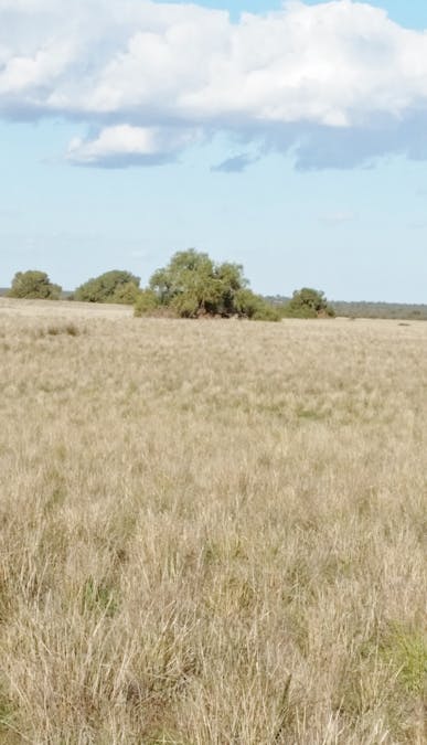 Lot 3 & 4 Winchester South Road, Carnamah, WA, 6517 - Image 11
