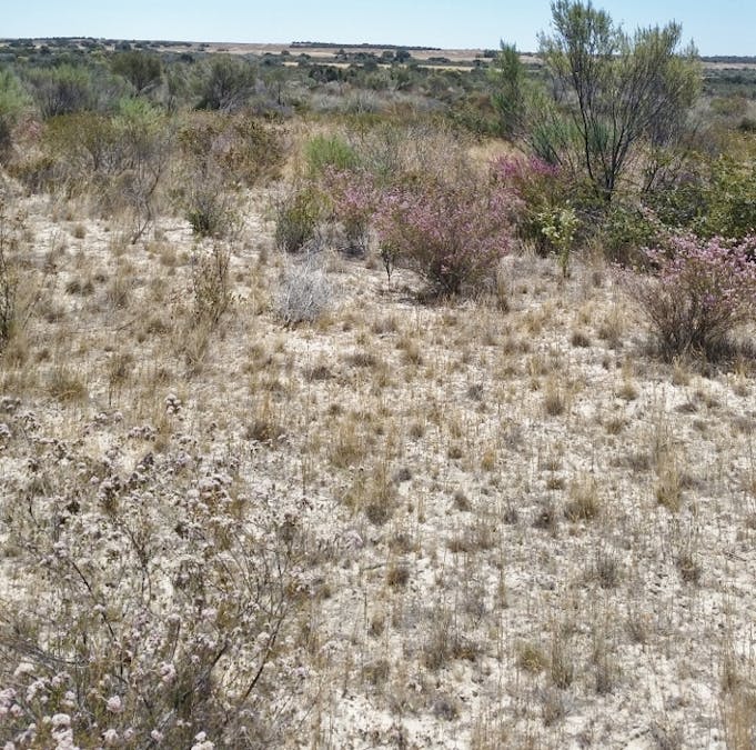 Lot 3 & 4 Winchester South Road, Carnamah, WA, 6517 - Image 12
