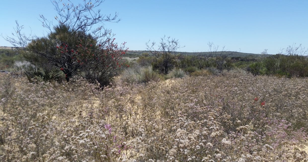 Lot 3 & 4 Winchester South Road, Carnamah, WA, 6517 - Image 13