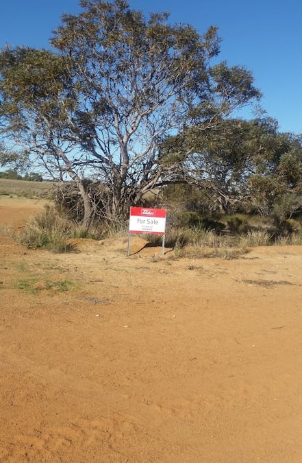 Lot 3 & 4 Winchester South Road, Carnamah, WA, 6517 - Image 15