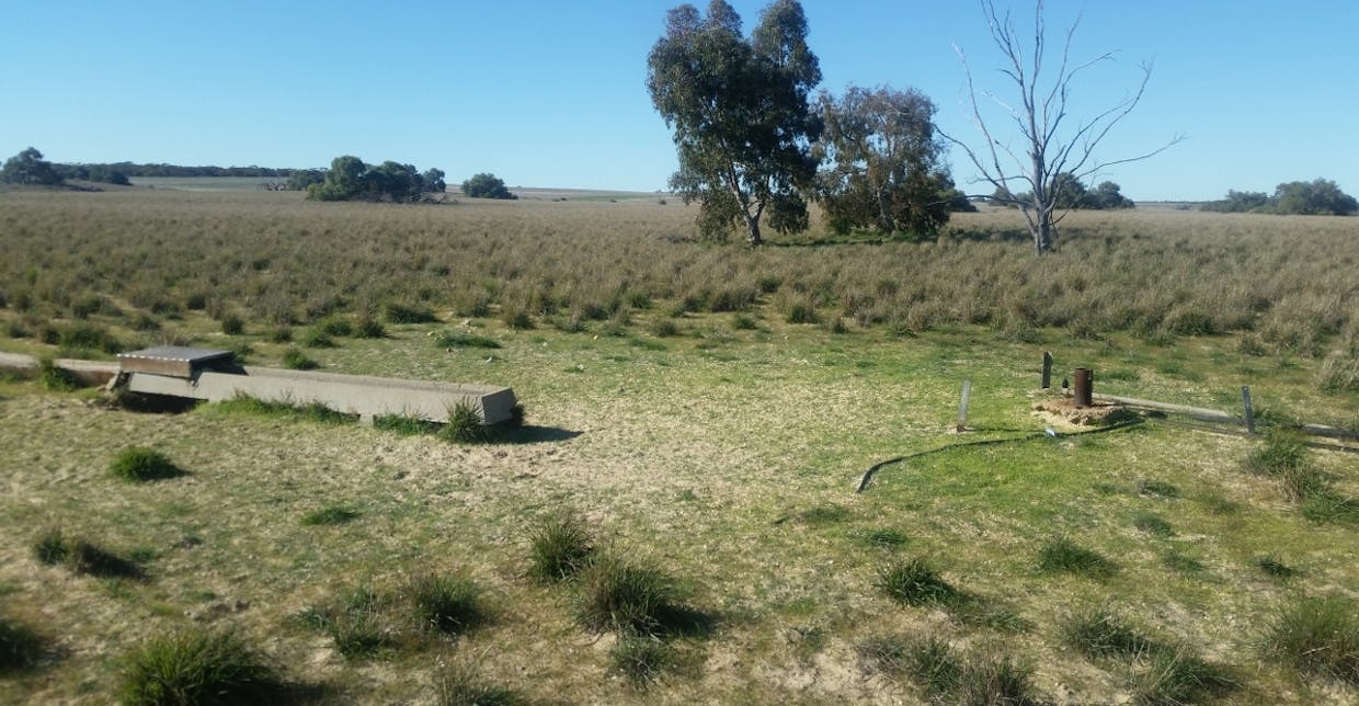 Lot 3 & 4 Winchester South Road, Carnamah, WA, 6517 - Image 5