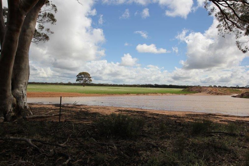 4919 Soldiers Road, Narembeen, WA, 6369 - Image 10