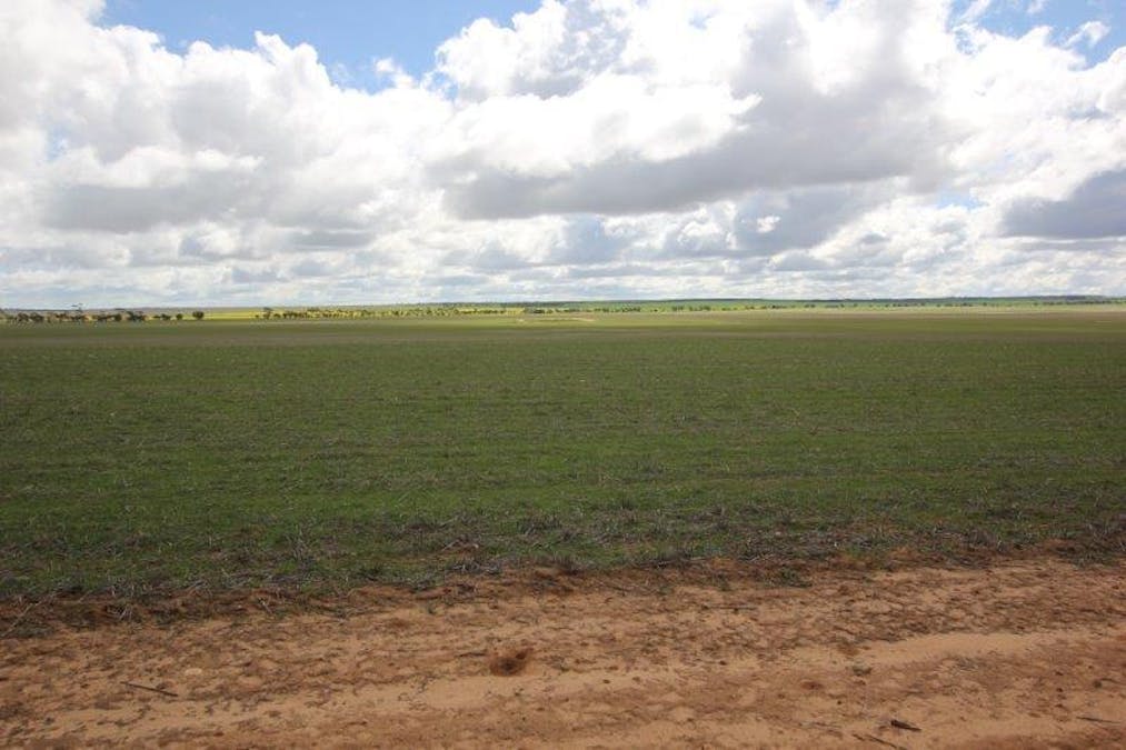 4919 Soldiers Road, Narembeen, WA, 6369 - Image 12