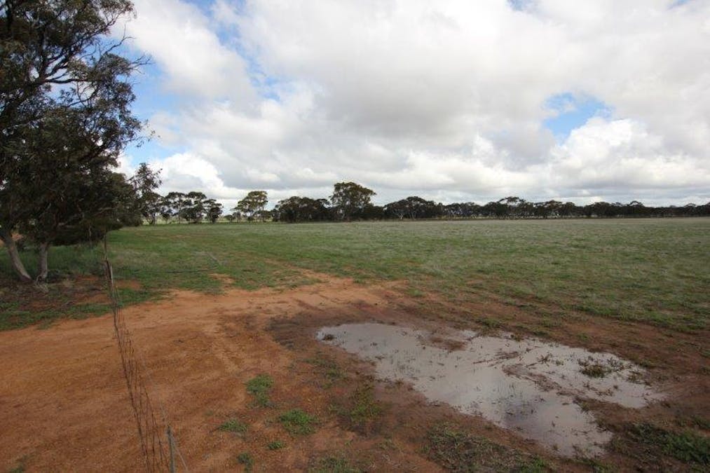 4919 Soldiers Road, Narembeen, WA, 6369 - Image 14