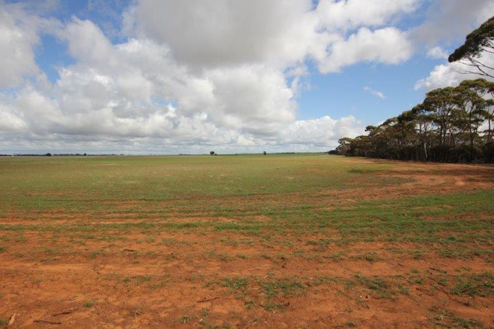 4919 Soldiers Road, Narembeen, WA, 6369 - Image 16