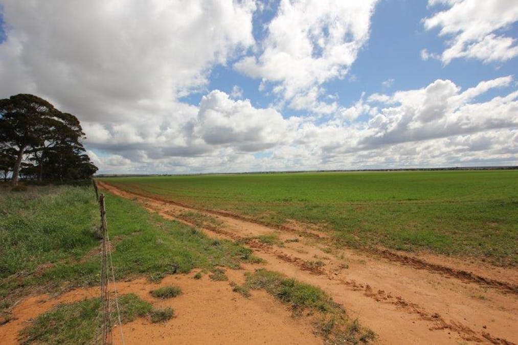 4919 Soldiers Road, Narembeen, WA, 6369 - Image 17