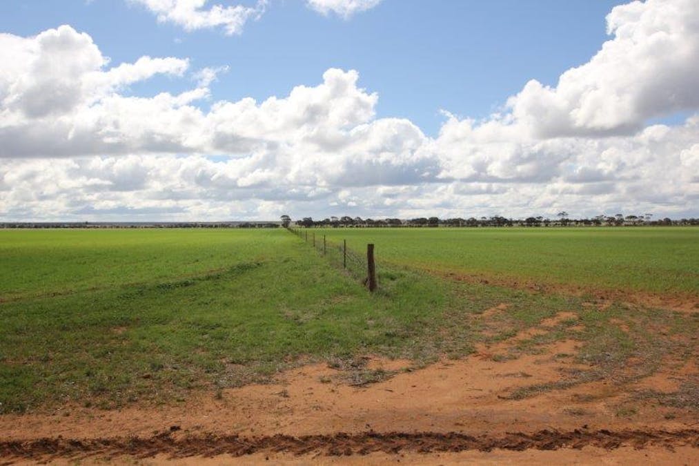 4919 Soldiers Road, Narembeen, WA, 6369 - Image 18