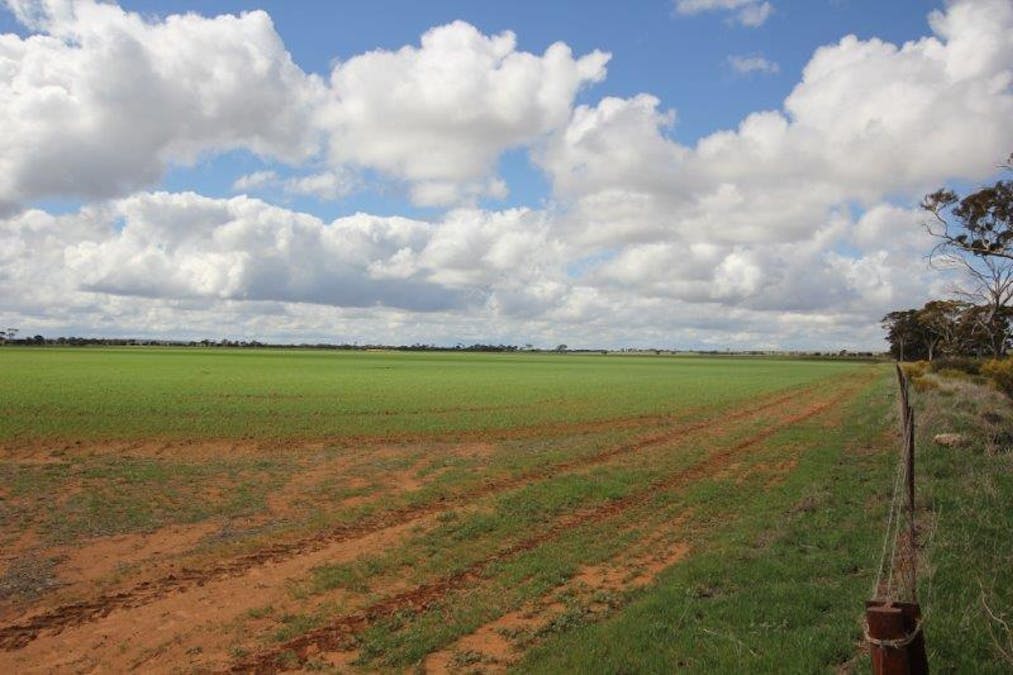 4919 Soldiers Road, Narembeen, WA, 6369 - Image 19