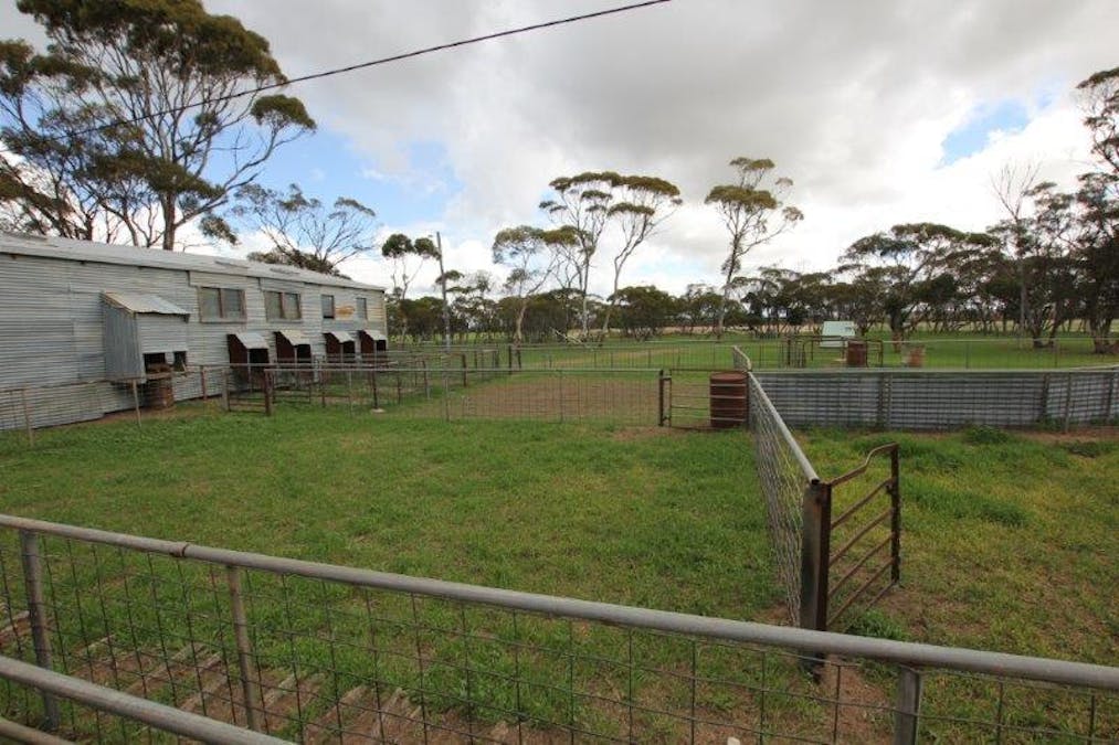4919 Soldiers Road, Narembeen, WA, 6369 - Image 23