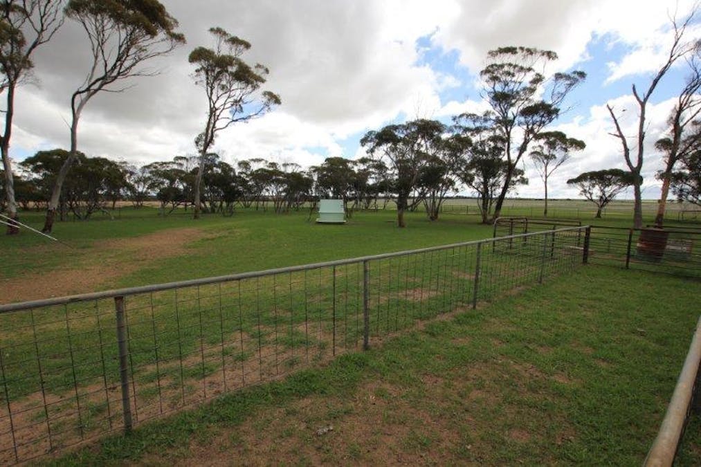 4919 Soldiers Road, Narembeen, WA, 6369 - Image 26