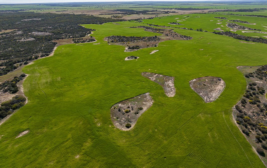 15343 Barbalin North Road, Mukinbudin, WA, 6479 - Image 9