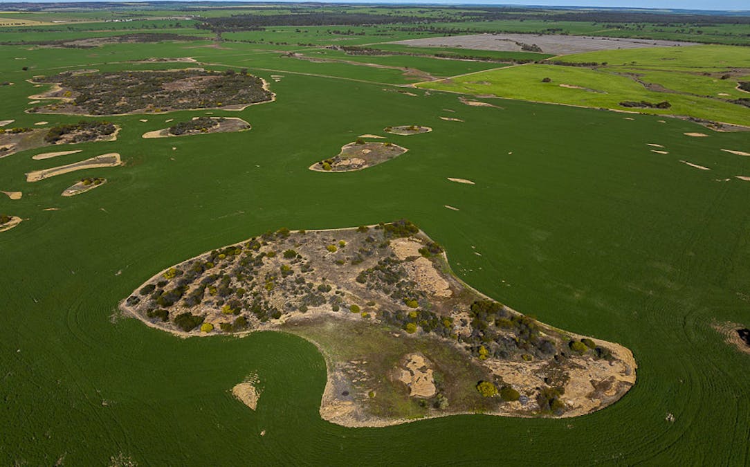15343 Barbalin North Road, Mukinbudin, WA, 6479 - Image 11