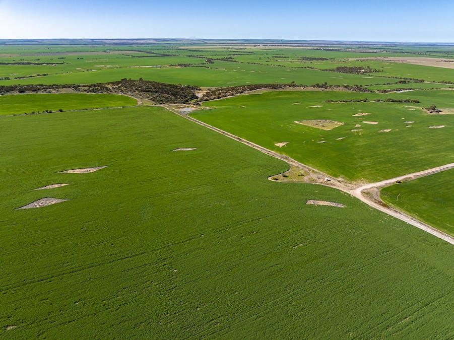 15343 Barbalin North Road, Mukinbudin, WA, 6479 - Image 1