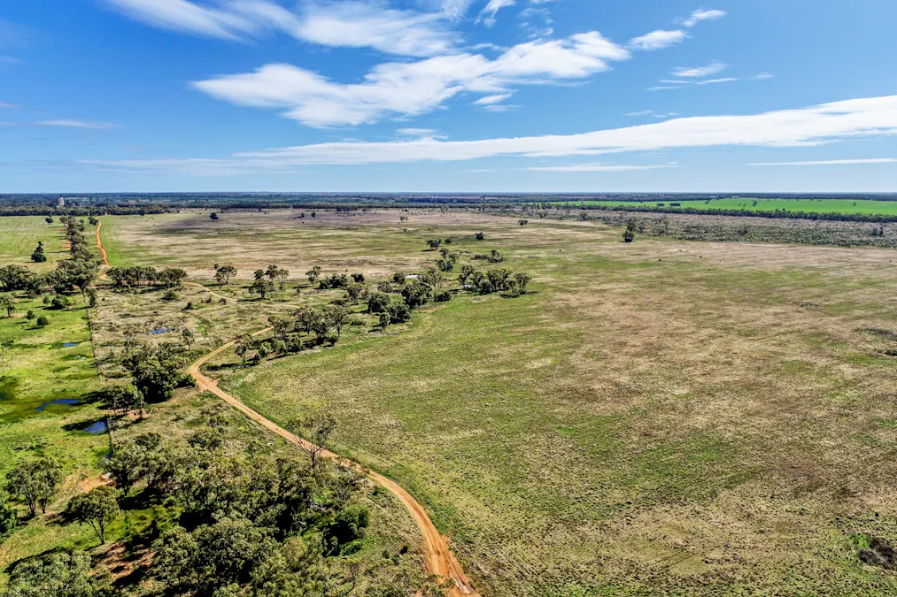 166 Plummers Road, Five Ways, NSW, 2873 - Image 7