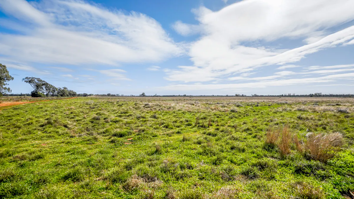 166 Plummers Road, Five Ways, NSW, 2873 - Image 1