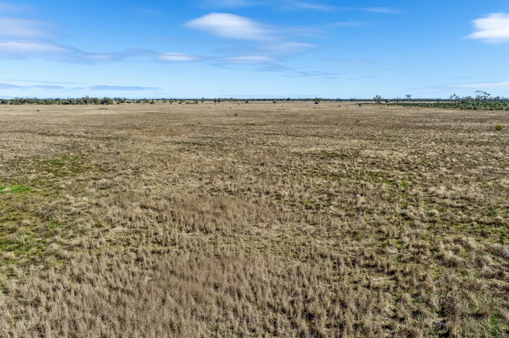 166 Plummers Road, Five Ways, NSW, 2873 - Image 6