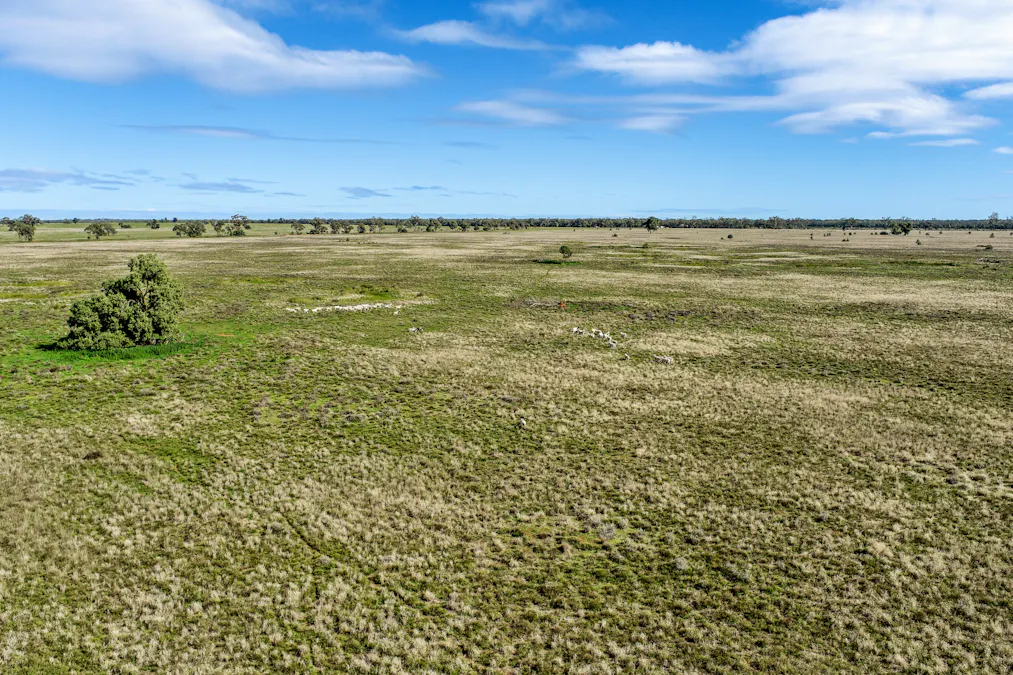 166 Plummers Road, Five Ways, NSW, 2873 - Image 8