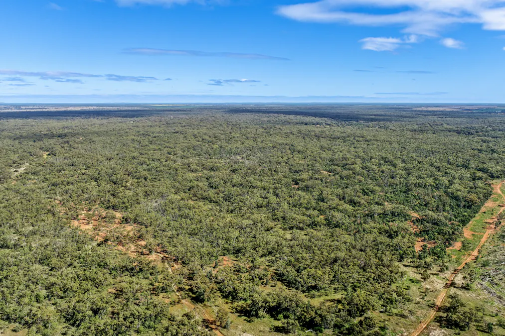 166 Plummers Road, Five Ways, NSW, 2873 - Image 9