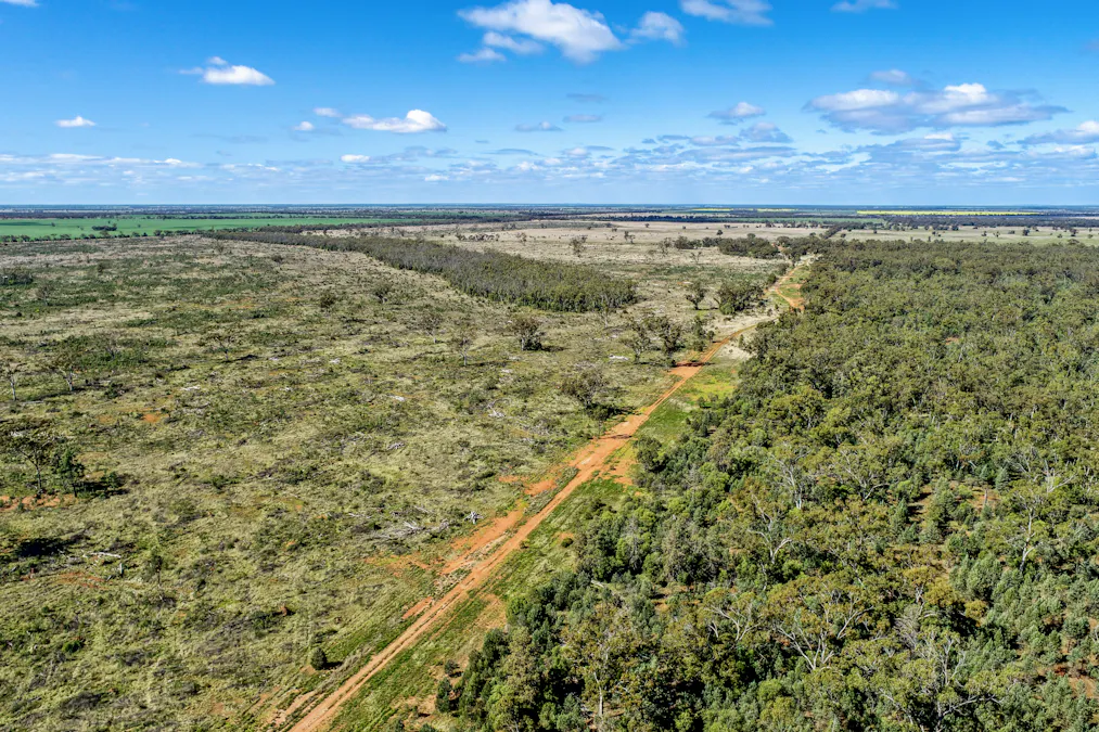 166 Plummers Road, Five Ways, NSW, 2873 - Image 11