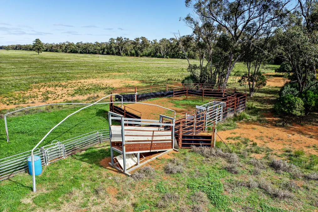 166 Plummers Road, Five Ways, NSW, 2873 - Image 18