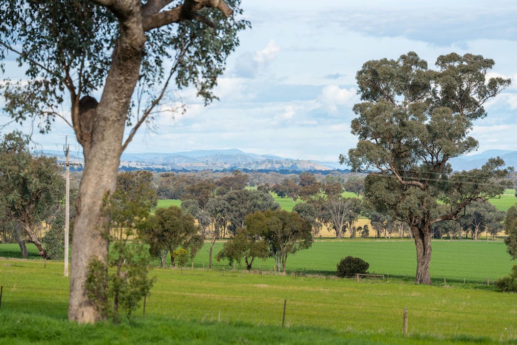 533 Kywong-Howlong Road, Howlong, NSW, 2643 - Image 10