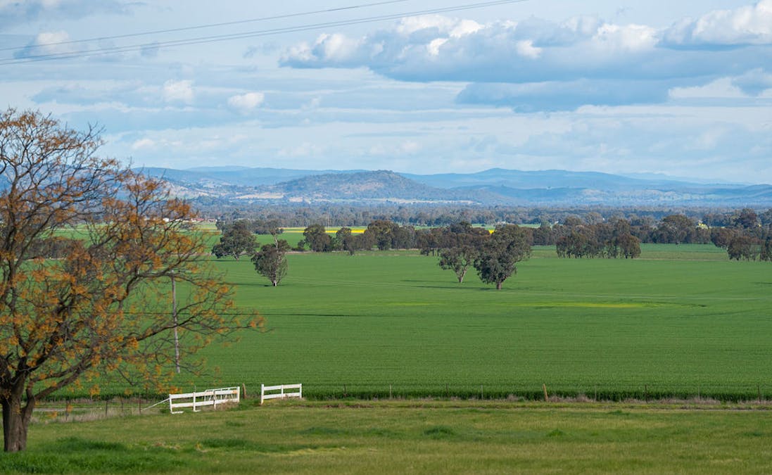 533 Kywong-Howlong Road, Howlong, NSW, 2643 - Image 11