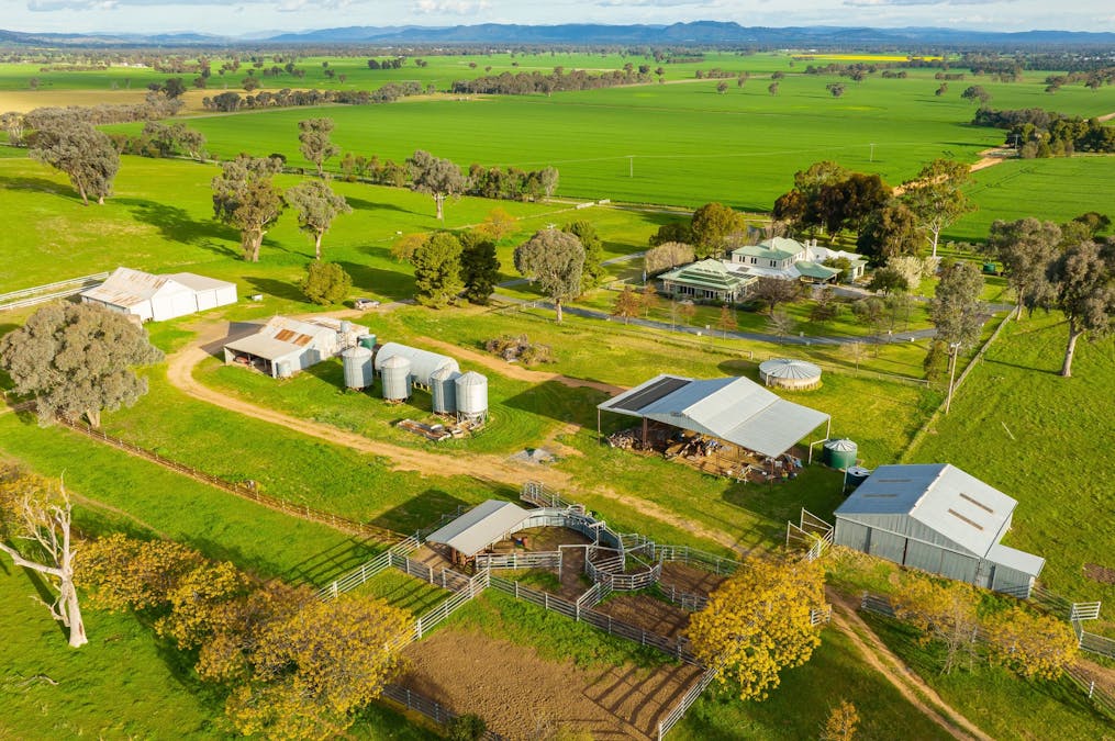 533 Kywong-Howlong Road, Howlong, NSW, 2643 - Image 5