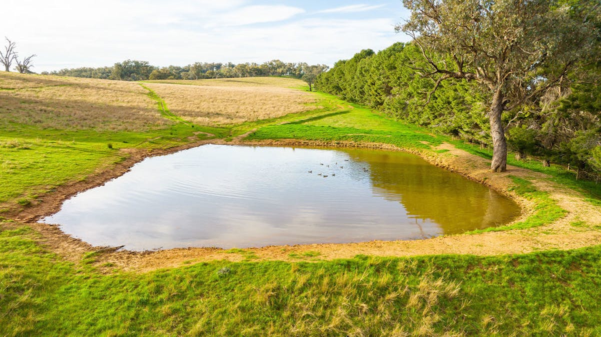 533 Kywong-Howlong Road, Howlong, NSW, 2643 - Image 16