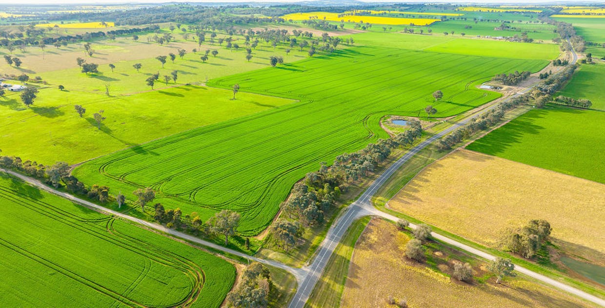 533 Kywong-Howlong Road, Howlong, NSW, 2643 - Image 15