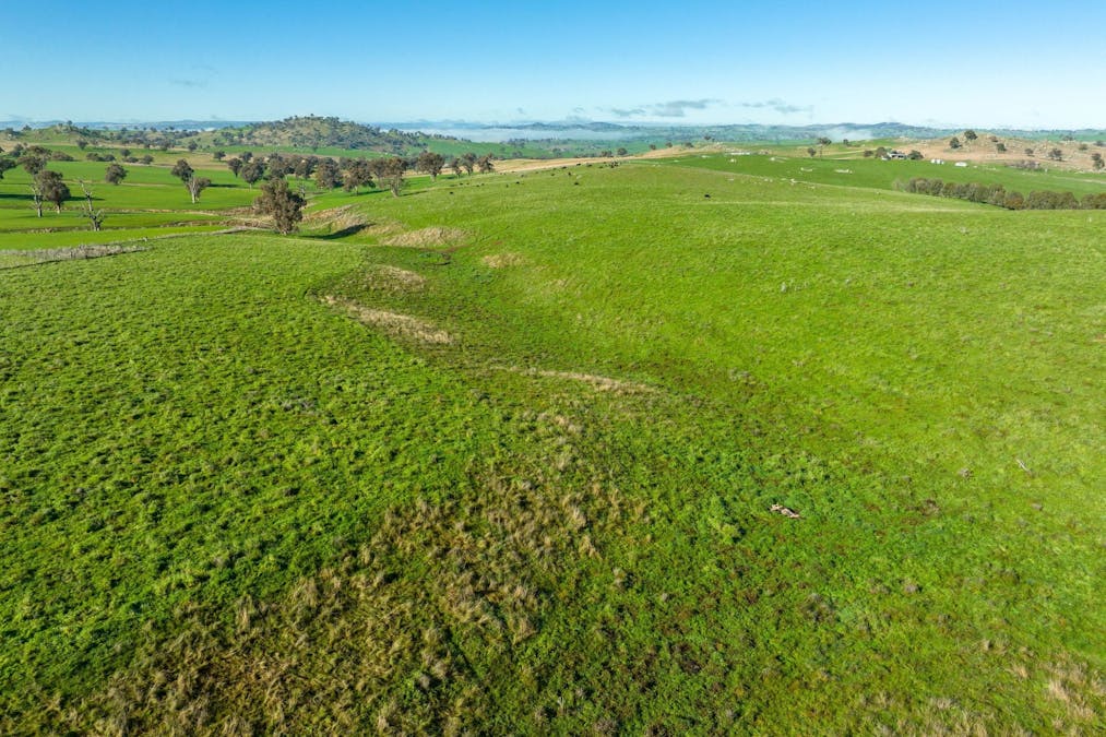 89 Kiaora Road, Jugiong, NSW, 2726 - Image 2