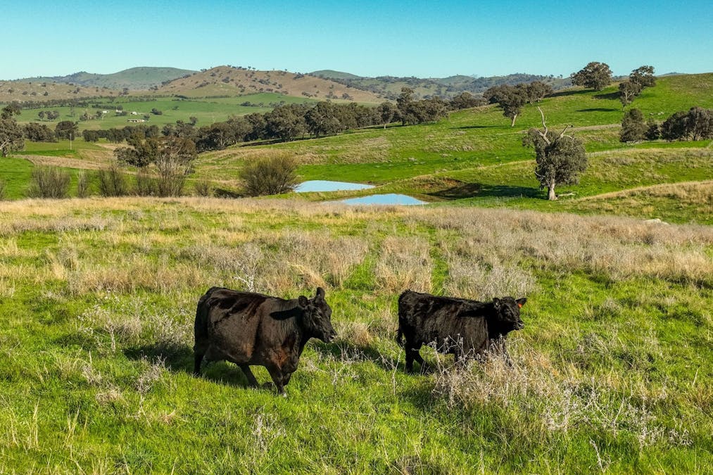 89 Kiaora Road, Jugiong, NSW, 2726 - Image 1