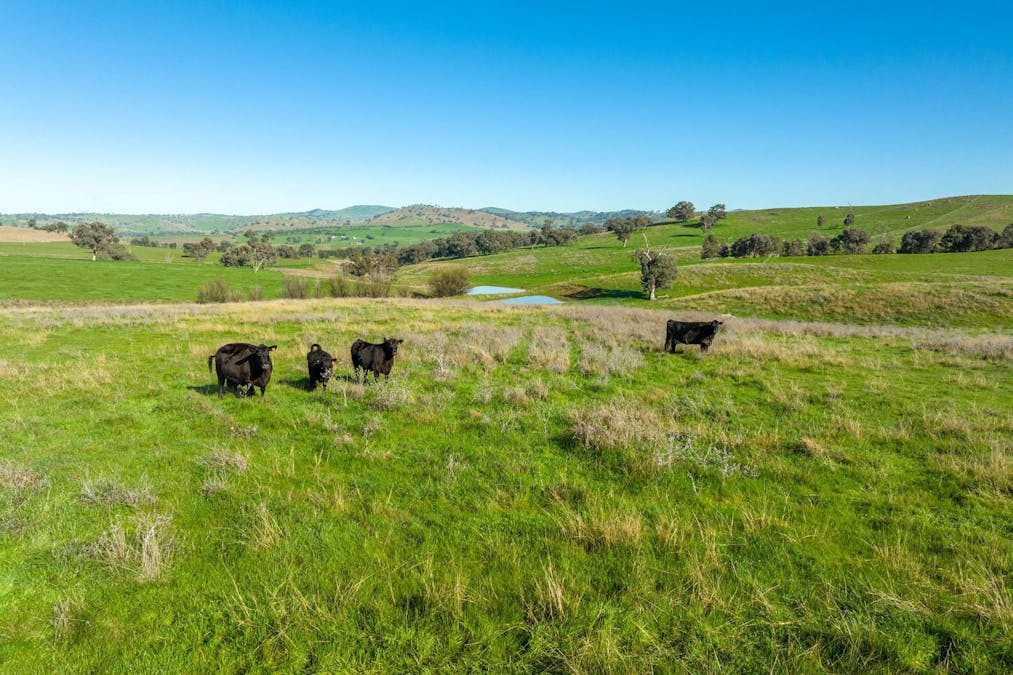 89 Kiaora Road, Jugiong, NSW, 2726 - Image 4