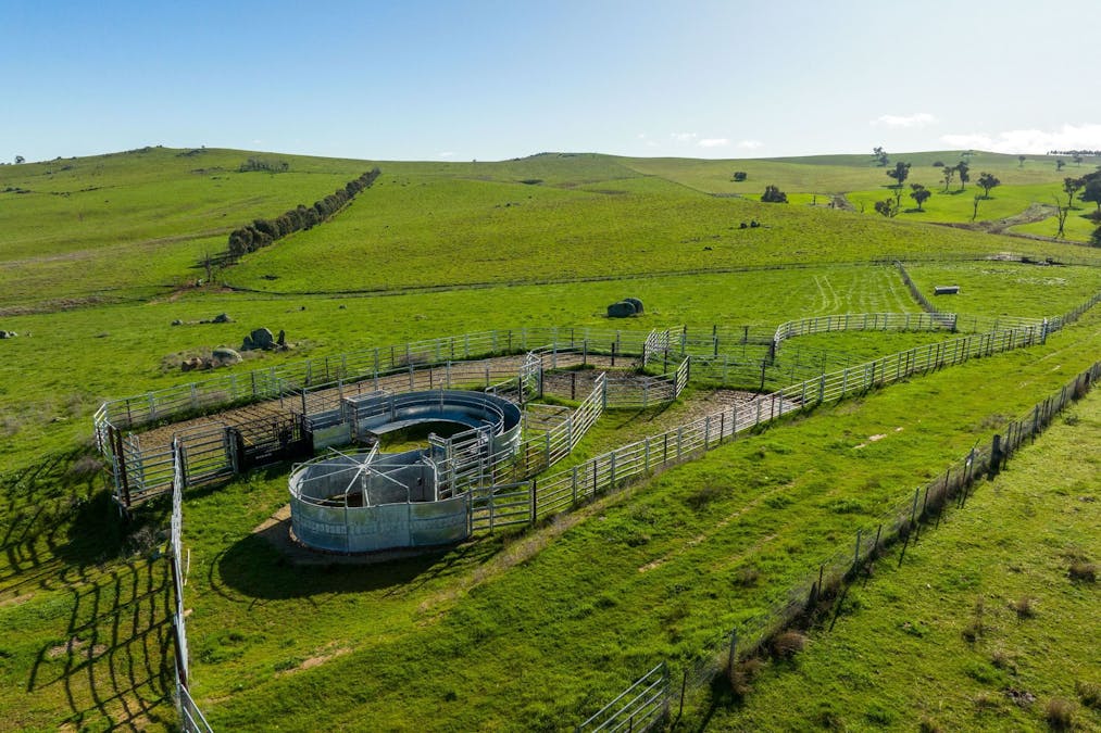 89 Kiaora Road, Jugiong, NSW, 2726 - Image 8