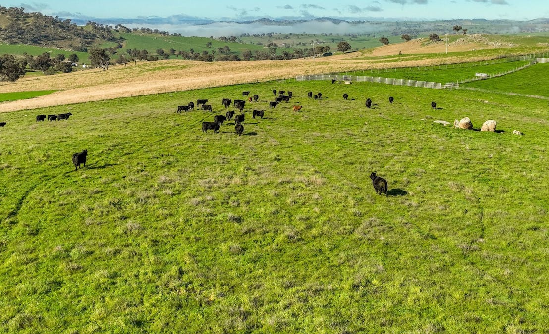 89 Kiaora Road, Jugiong, NSW, 2726 - Image 11