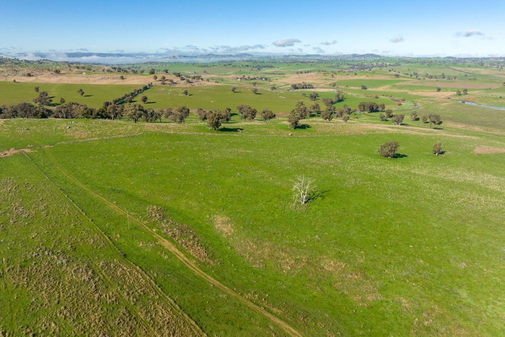 89 Kiaora Road, Jugiong, NSW, 2726 - Image 17