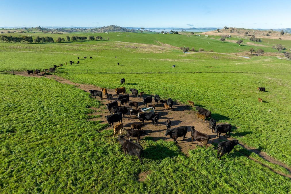 89 Kiaora Road, Jugiong, NSW, 2726 - Image 26