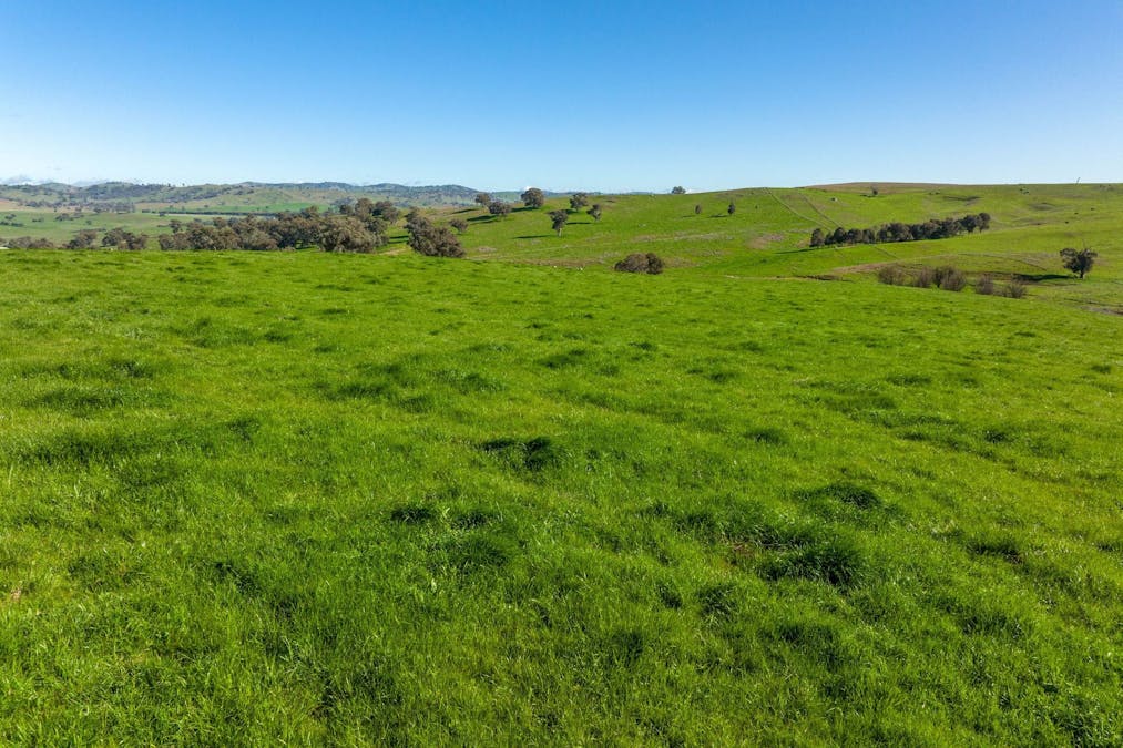 89 Kiaora Road, Jugiong, NSW, 2726 - Image 32