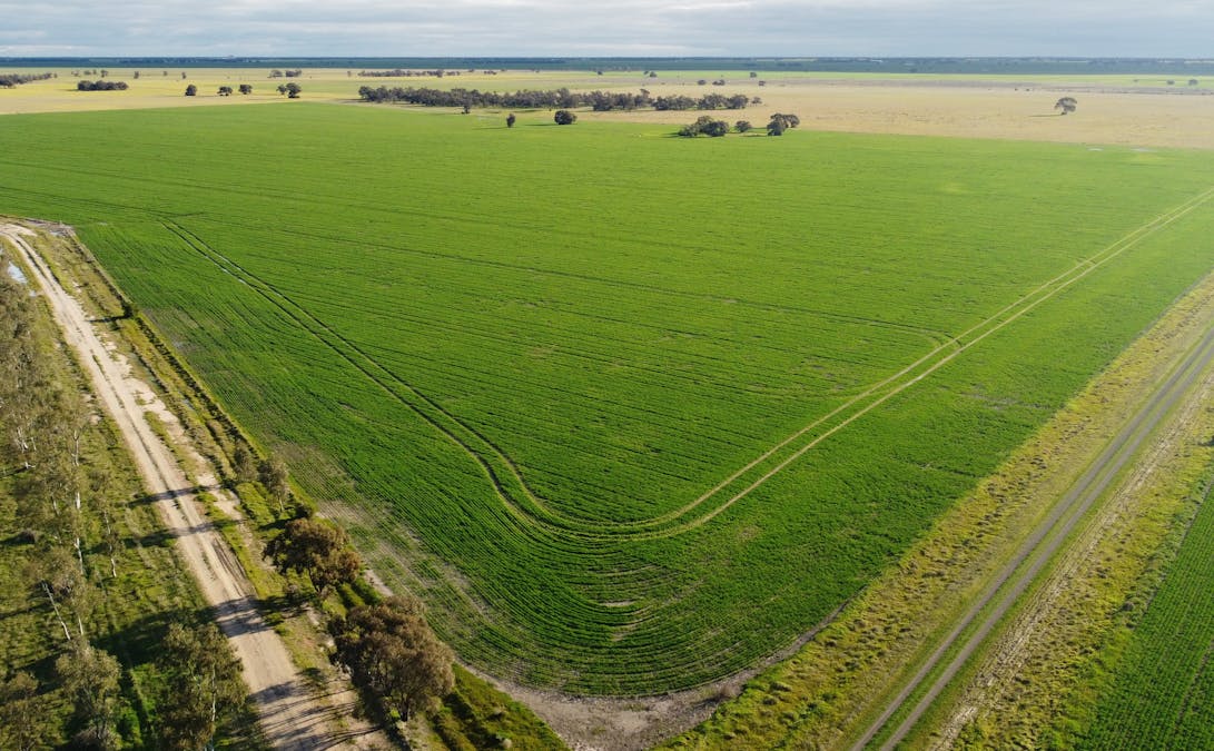 Single Tree Road, Massey, VIC, 3482 - Image 2