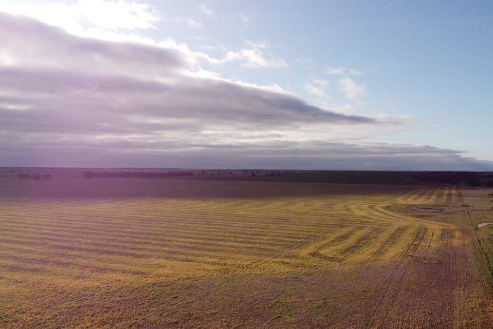 Single Tree Road, Massey, VIC, 3482 - Image 4